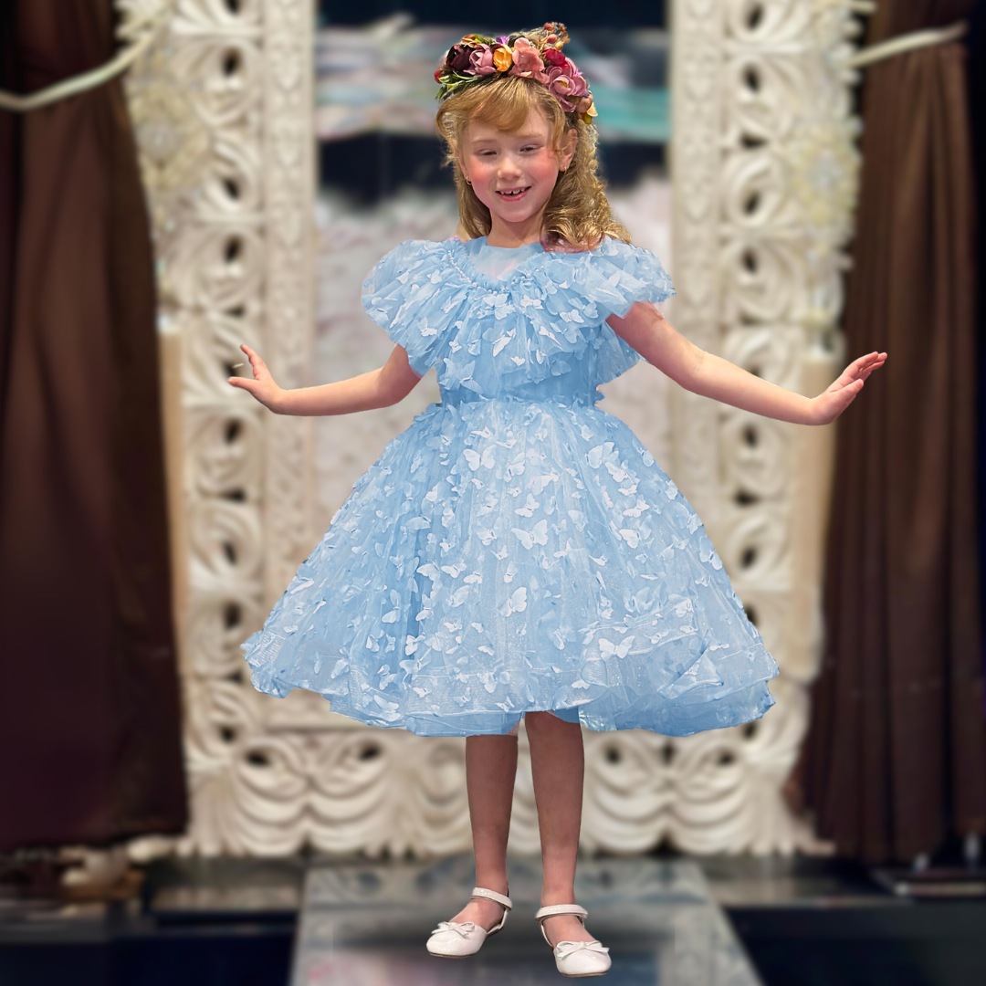 Skye 3D Butterfly Glitter Puffy Dress