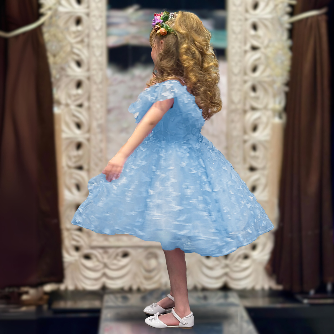 Skye 3D Butterfly Glitter Puffy Dress