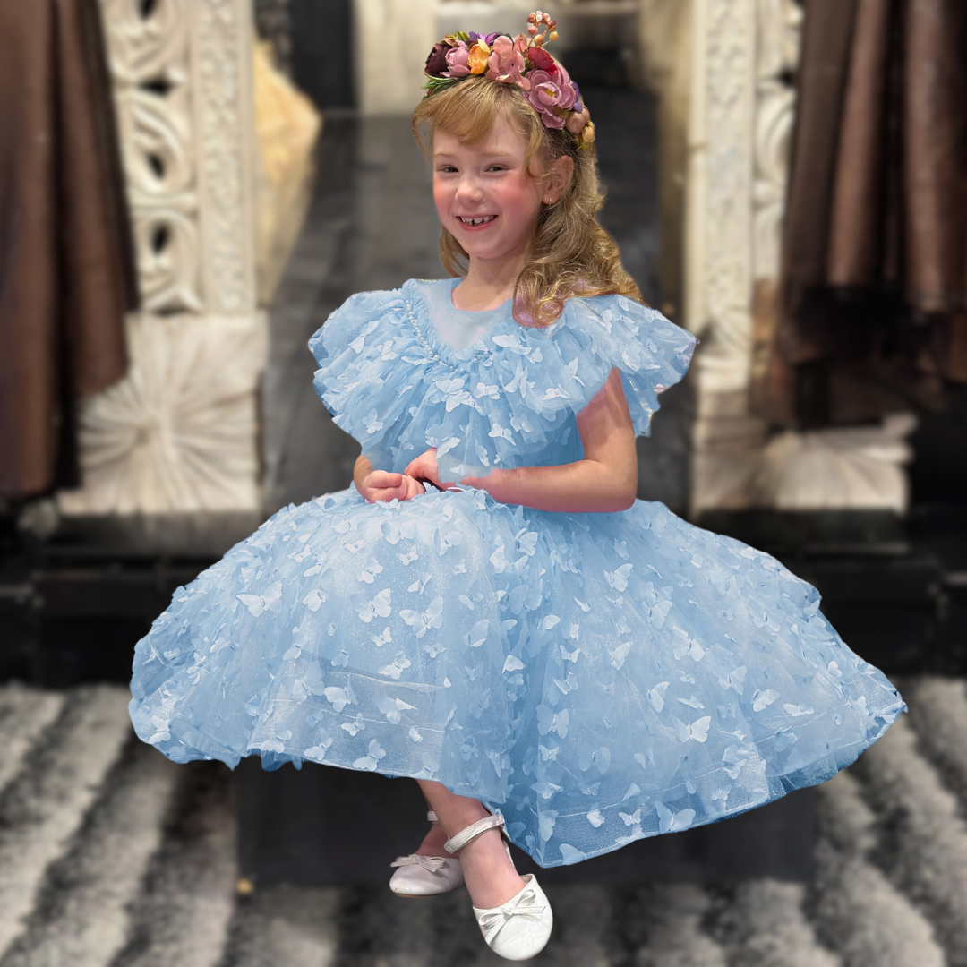 Skye 3D Butterfly Glitter Puffy Dress