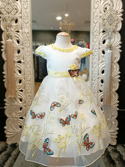 ZARA BUTTERFLY DRESS
