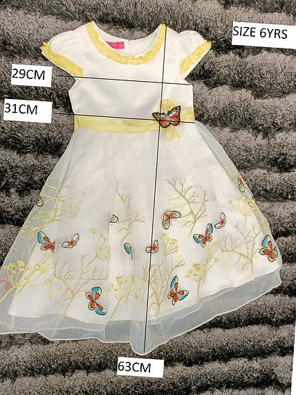 ZARA BUTTERFLY DRESS