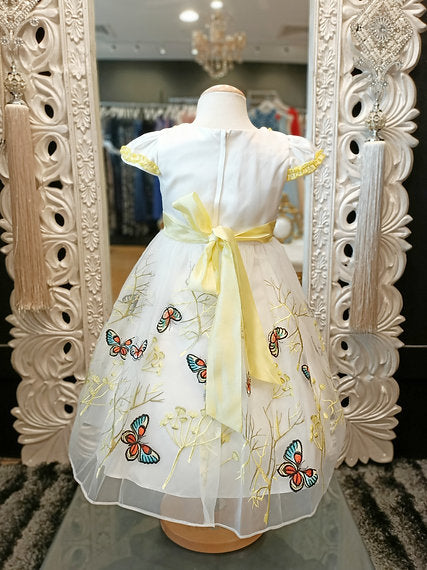 ZARA BUTTERFLY DRESS