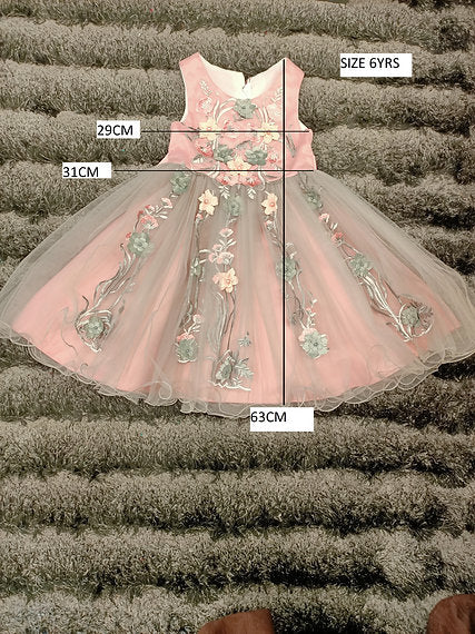 CARLA PINK AND GREY DRESS