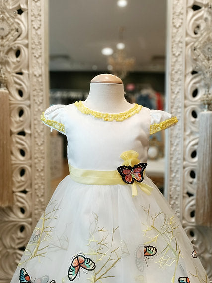 ZARA BUTTERFLY DRESS