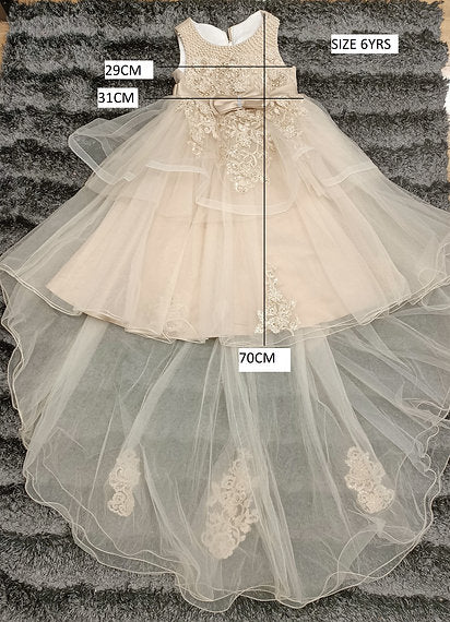 KIR CHAMPAGNE DRESS